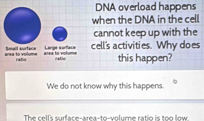 DNA overload happens
when the DNA in the cell
cannot keep up with the
Small surface Large surface cell's activities. Why does
area to volume area to volume
ratio _ratio this happen?
We do not know why this happens.
The cell's surface-area-to-volume ratio is too low.