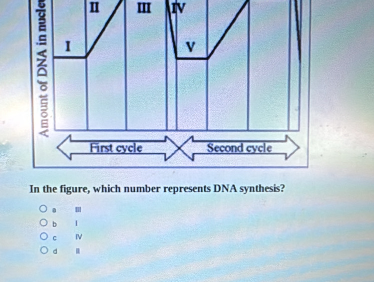 IV
a
b 1
C IV
d n