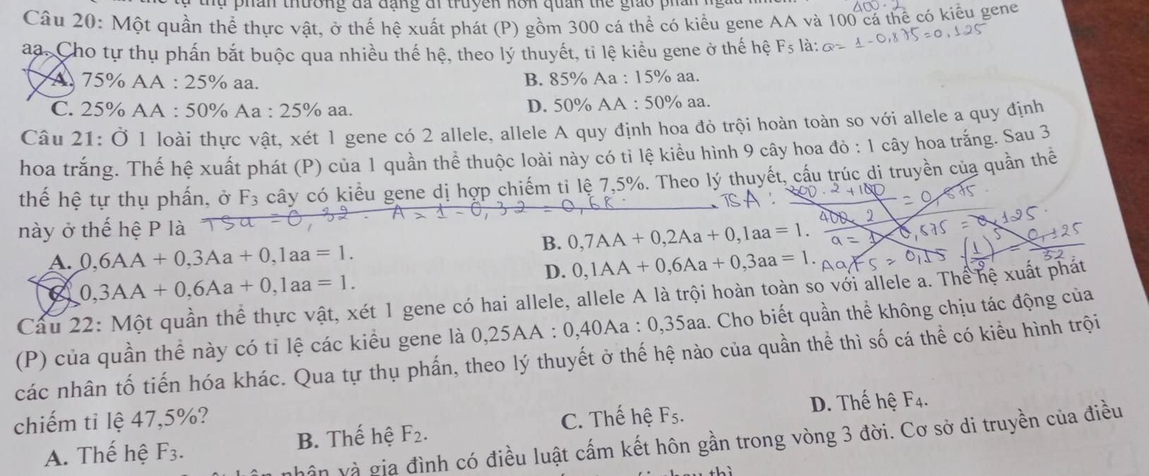 ể  phân thường đã đạng đi truyen nôn quan the giáo phân
Câu 20: Một quần thể thực vật, ở thế hệ xuất phát (P) gồm 300 cá thể có kiểu gene AA và 100 cả thể có kiểu gene
aa. Cho tự thụ phấn bắt buộc qua nhiều thế hệ, theo lý thuyết, tỉ lệ kiểu gene ở thế hệ F_5 là:
A 75% AA : 25% aa. B. 85% Aa : 15% aa.
C. 25% AA : 50% Aa : 25% aa. D. 50% AA : 50% aa.
Câu 21: Ở 1 loài thực vật, xét 1 gene có 2 allele, allele A quy định hoa đỏ trội hoàn toàn so với allele a quy định
hoa trắng. Thế hệ xuất phát (P) của 1 quần thể thuộc loài này có tỉ lệ kiểu hình 9 cây hoa đỏ : 1 cây hoa trắng. Sau 3
thế hệ tự thụ phần, ở F_3 cây có kiểu gene dị hợp chiếm tỉ lệ 7,5%. Theo lý thuyết, cấu trúc di truyền của quần thể
này ở thế hệ P là
B. 0,7AA+0,2Aa+0,1aa=1.
A. 0,6AA+0,3Aa+0,1aa=1. 0,1AA+0,6Aa+0,3aa=1.
C 0,3AA+0,6Aa+0,1aa=1.
D.
Cầu 22: Một quần thể thực vật, xét 1 gene có hai allele, allele A là trội hoàn toàn so với allele a. Thể hệ xuất phát
(P) của quần thể này có tỉ lệ các kiểu gene là 0,25AA : 0,40Aa : 0,35aa. Cho biết quần thể không chịu tác động của
các nhân tố tiến hóa khác. Qua tự thụ phần, theo lý thuyết ở thế hệ nào của quần thể thì số cá thể có kiểu hình trội
chiếm tỉ lệ 47,5%? C. Thế hệ F_5.
D. Thế hệ
A. Thế hệ F_3. B. Thế hệ F_2. F_4
nhân và gia đình có điều luật cấm kết hôn gần trong vòng 3 đời. Cơ sở di truyền của điều