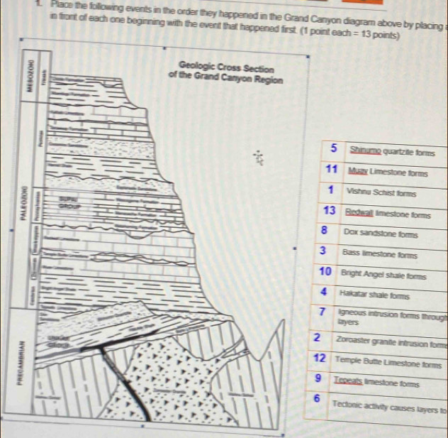 Place the following events in the order they happened in the Grand Canyon diagram above by placing a 
in front of each one beginning with the event that happened first. (1 point each = 13 points) 
s 
rough 
forme 
rms 
rs to