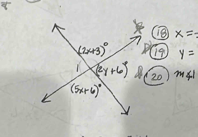 18 x=
19 y=
20 m∠ 1