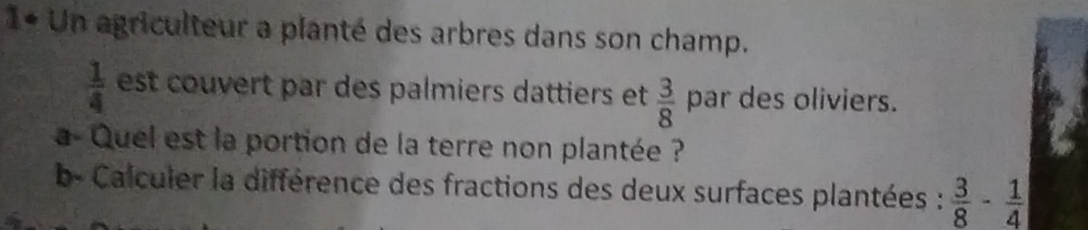 1* Un agriculteur a planté des arbres dans son champ.
 1/4  est couvert par des palmiers dattiers et  3/8  par des oliviers. 
a- Quel est la portion de la terre non plantée ? 
b- Calculer la différence des fractions des deux surfaces plantées :  3/8 - 1/4 