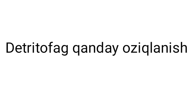 Detritofag qanday oziqlanish