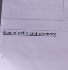 Guard cells and stomata