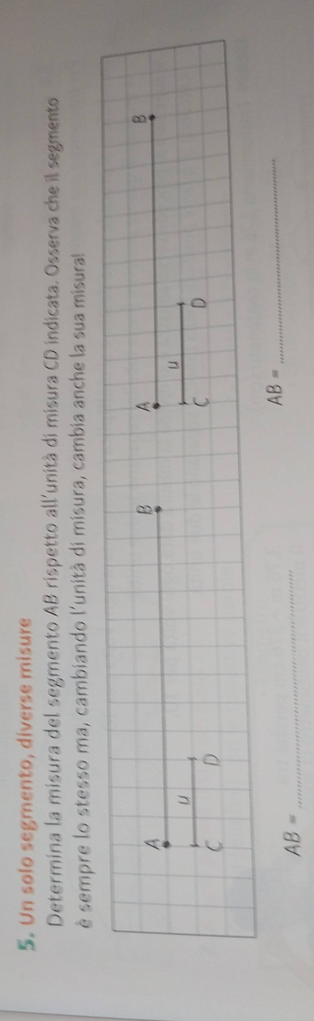 Un solo segmento, diverse misure 
Determina la misura del segmento AB rispetto all'unità di misura CD indicata. Osserva che il segmento 
è sempre lo stesso ma, cambiando l'unità di misura, cambia anche la sua misural
AB= _ 
_ AB=