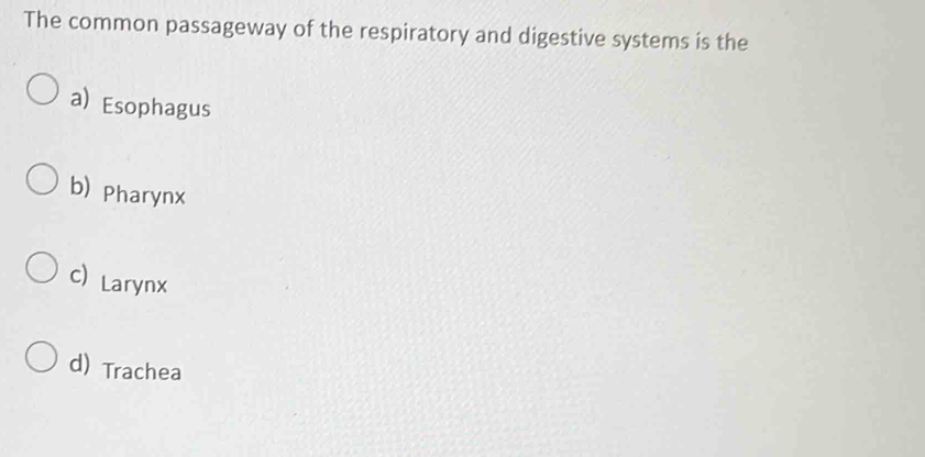 The common passageway of the respiratory and digestive systems is the
a) Esophagus
b) Pharynx
c) Larynx
d) Trachea