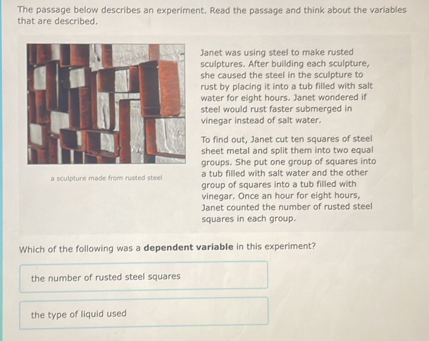 The passage below describes an experiment. Read the passage and think about the variables
that are described.
Janet was using steel to make rusted
sculptures. After building each sculpture,
she caused the steel in the sculpture to
rust by placing it into a tub filled with salt
water for eight hours. Janet wondered if
steel would rust faster submerged in
vinegar instead of salt water.
To find out, Janet cut ten squares of steel
sheet metal and split them into two equal
groups. She put one group of squares into
a sculpture made from rusted steel a tub filled with salt water and the other
group of squares into a tub filled with
vinegar. Once an hour for eight hours,
Janet counted the number of rusted steel
squares in each group.
Which of the following was a dependent variable in this experiment?
the number of rusted steel squares
the type of liquid used