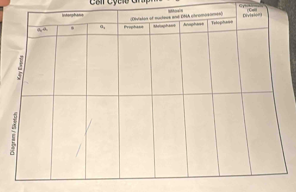 Côil Cycle Grap
Cytokinesis