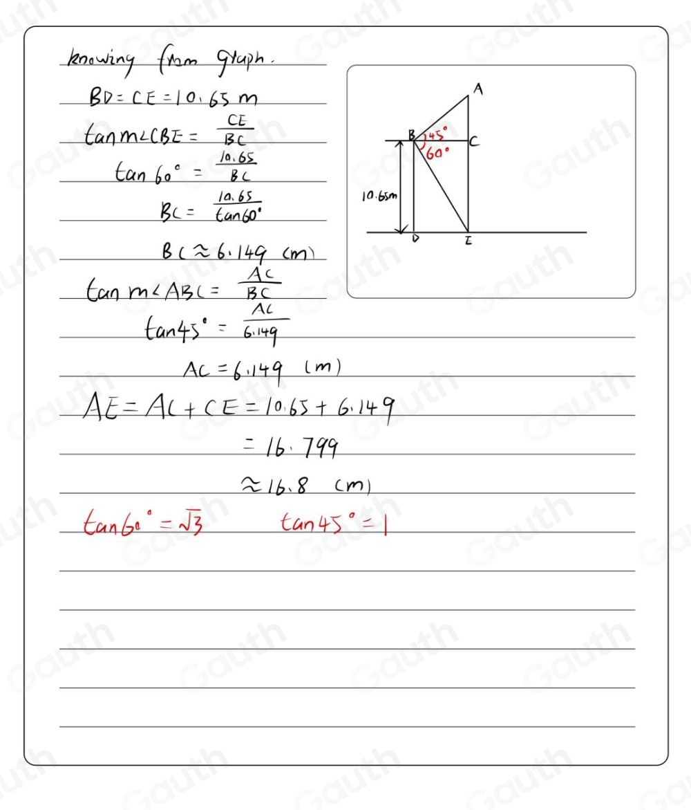Solved: A tree and a flagpole are on the same horizontal ground. A bird ...