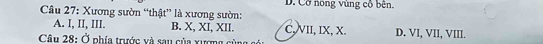 D. Cơ nổng vùng cô bên.
Câu 27: Xương sườn “thật” là xương sườn:
A. I, II, III. B. X, XI, XII. C, VII, IX, X. D. VI, VII, VIII.
Câu 28: Ở phía trước và sau của xương cù