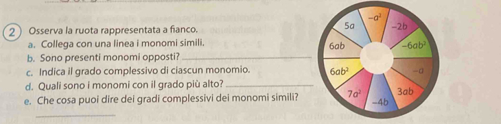 Osserva la ruota rappresentata a fianco. 
a. Collega con una linea i monomi simili. 
b. Sono presenti monomi opposti?_
c. Indica il grado complessivo di ciascun monomio. 
d. Quali sono i monomi con il grado più alto? _
e. Che cosa puoi dire dei gradi complessivi dei monomi simili?
_