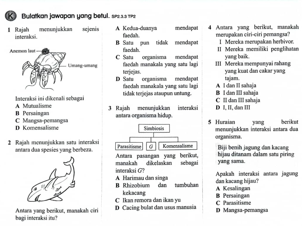 Bulatkan jawapan yang betul. sP2.3.3 TP2
1 Rajah menunjukkan sejenis A Kedua-duanya mendapat 4 Antara yang berikut, manakah
interaksi. faedah. merupakan ciri-ciri pemangsa?
B Satu pun tidak mendapat I Mereka merupakan herbivor.
faedah. II Mereka memiliki penglihatan
C Satu organisma mendapat yang baik.
faedah manakala yang satu lagi III Mereka mempunyai rahang
terjejas. yang kuat dan cakar yang
D Satu organisma mendapat tajam.
faedah manakala yang satu lagi A I dan II sahaja
tidak terjejas ataupun untung. B I dan III sahaja
Interaksi ini dikenali sebagai C II dan III sahaja
A Mutualisme
3 Rajah menunjukkan interaksi D I, II, dan III
B Persaingan antara organisma hidup.
C Mangsa-pemangsa 5 Huraian yang berikut
D Komensalisme Simbiosis menunjukkan interaksi antara dua
organisma.
2 Rajah menunjukkan satu interaksi Parasitisme G Komensalisme Biji benih jagung dan kacang
antara dua spesies yang berbeza.
Antara pasangan yang berikut, hijau ditanam dalam satu piring
manakah dikelaskan sebagai yang sama.
interaksi G?
Apakah interaksi antara jagung
A Harimau dan singa
dan kacang hijau?
B Rhizobium dan tumbuhan A Kesalingan
kekacang
B Persaingan
C Ikan remora dan ikan yu C Parasitisme
Antara yang berikut, manakah ciri D Cacing bulat dan usus manusia D Mangsa-pemangsa
bagi interaksi itu?