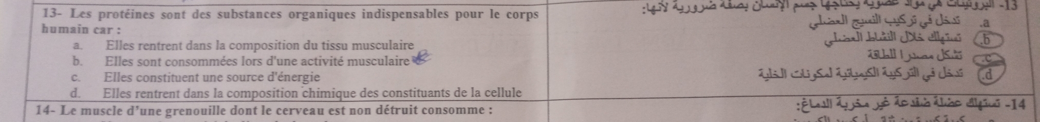 13- Les protéines sont des substances organiques indispensables pour le corps
humain car :
.a
a. Elles rentrent dans la composition du tissu musculaire
.b
b. Elles sont consommées lors d'une activité musculaire Nhas USio .c
c. Elles constituent une source d'énergie G ll GugSel GbeSl as üll gả di (d
d. Elles rentrent dans la composition chimique des constituants de la cellule
14- Le muscle d’une grenouille dont le cerveau est non détruit consomme : :É Lesll Áp jão yê ão sib áléo dlgui -14