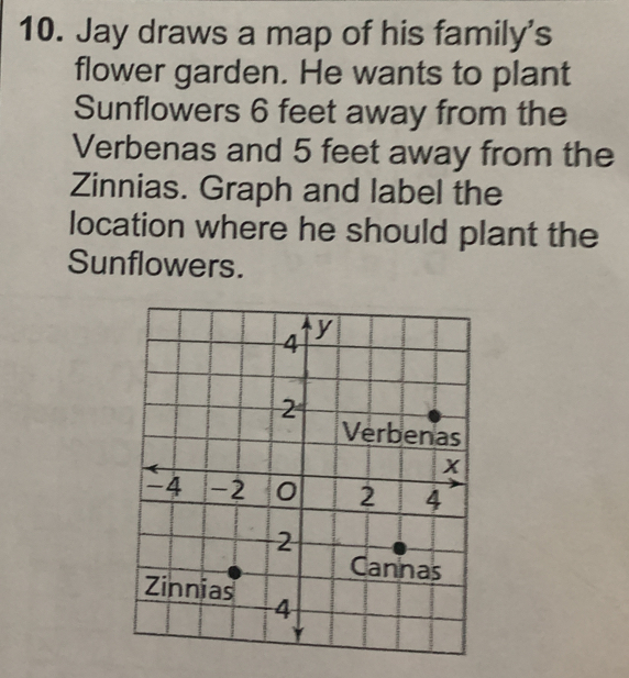 Jay draws a map of his family's
flower garden. He wants to plant
Sunflowers 6 feet away from the
Verbenas and 5 feet away from the
Zinnias. Graph and label the
location where he should plant the
Sunflowers.