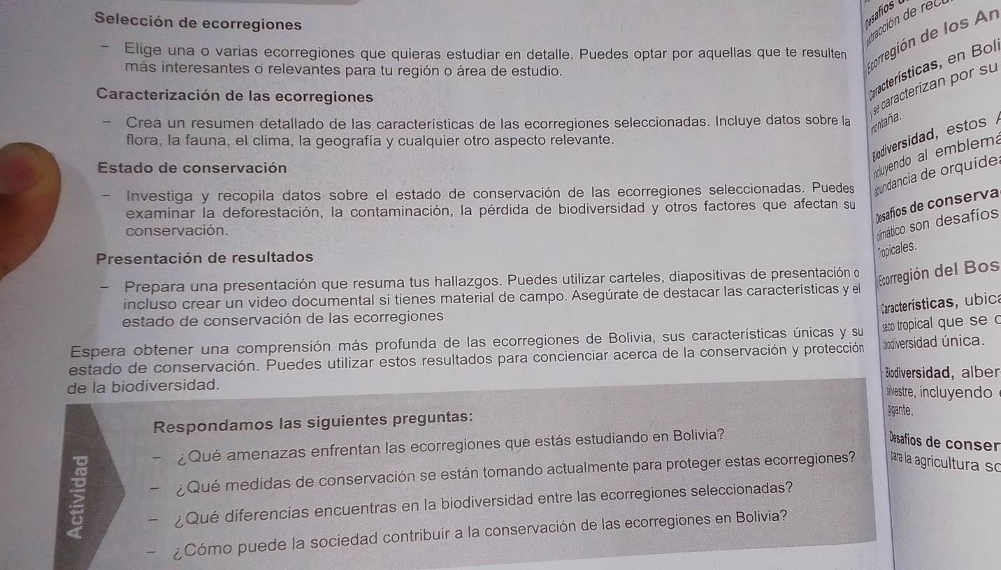 Selección de ecorregiones
Desafios 
dtracción de rec
Acorregión de los Ar
- Elige una o varias ecorregiones que quieras estudiar en detalle. Puedes optar por aquellas que te resulten
más interesantes o relevantes para tu región o área de estudio.
Caracterización de las ecorregiones
taracterísticas, en Bol,
- Crea un resumen detallado de las características de las ecorregiones seleccionadas. Incluye datos sobre la
nontaña. se caracterizan por su
Blodiversidad, estos 
flora, la fauna, el clima, la geografía y cualquier otro aspecto relevante.
Estado de conservación
ncluyendo al emblema
Investiga y recopila datos sobre el estado de conservación de las ecorregiones seleccionadas. Puedes a bundancia de orquíde.
Desafíos de conserva
examinar la deforestación, la contaminación, la pérdida de biodiversidad y otros factores que afectan su
conservación.
dimático son desafíos
Presentación de resultados
Tropicales.
Prepara una presentación que resuma tus hallazgos. Puedes utilizar carteles, diapositivas de presentación o
Ecorregión del Bos
incluso crear un video documental si tienes material de campo. Asegúrate de destacar las características y el
- Características, ubica
estado de conservación de las ecorregiones
Espera obtener una comprensión más profunda de las ecorregiones de Bolivia, sus características únicas y su seco tropical que se o
estado de conservación. Puedes utilizar estos resultados para concienciar acerca de la conservación y protección biodiversidad única.
* Biodiversidad, alber
de la biodiversidad. sivestre, incluyendo
Respondamos las siguientes preguntas:
gigante.
- i Qué amenazas enfrentan las ecorregiones que estás estudiando en Bolivia?
* Desafos de conser
5  ; Qué medidas de conservación se están tomando actualmente para proteger estas ecorregiones? para la agricultura so
- ¿Qué diferencias encuentras en la biodiversidad entre las ecorregiones seleccionadas?
- ¿Cómo puede la sociedad contribuir a la conservación de las ecorregiones en Bolivia?