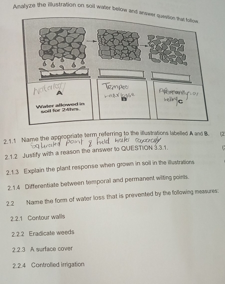 Analyze the illustration on soil water below and an
2.1.1 Name the appropriate term referring to the illustrations labelled A and B. (2
2.1.2 Justify with a reason the answer to QUESTION 3.3.1.
2.1.3 Explain the plant response when grown in soil in the illustrations
2.1.4 Differentiate between temporal and permanent wilting points.
2.2 Name the form of water loss that is prevented by the following measures:
2.2.1 Contour walls
2.2.2 Eradicate weeds
2.2.3 A surface cover
2.2.4 Controlled irrigation