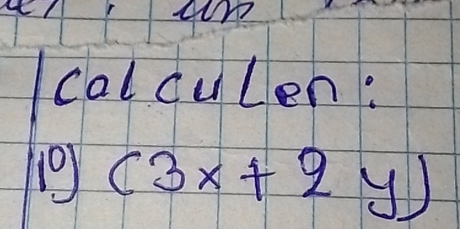 calculen: 
10) (3x+2y)