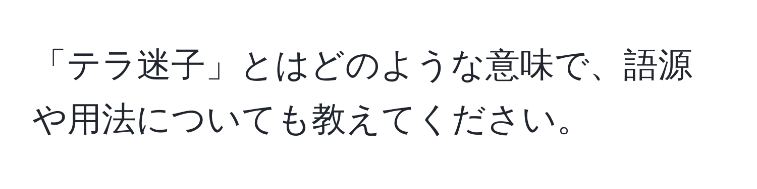 「テラ迷子」とはどのような意味で、語源や用法についても教えてください。