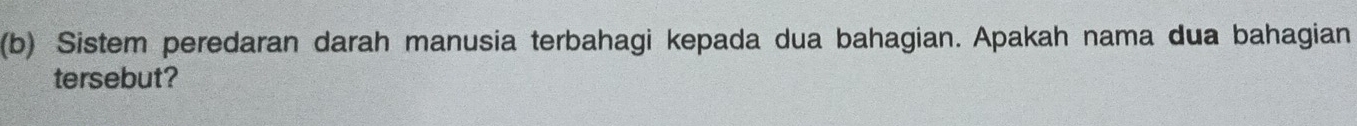 Sistem peredaran darah manusia terbahagi kepada dua bahagian. Apakah nama dua bahagian 
tersebut?