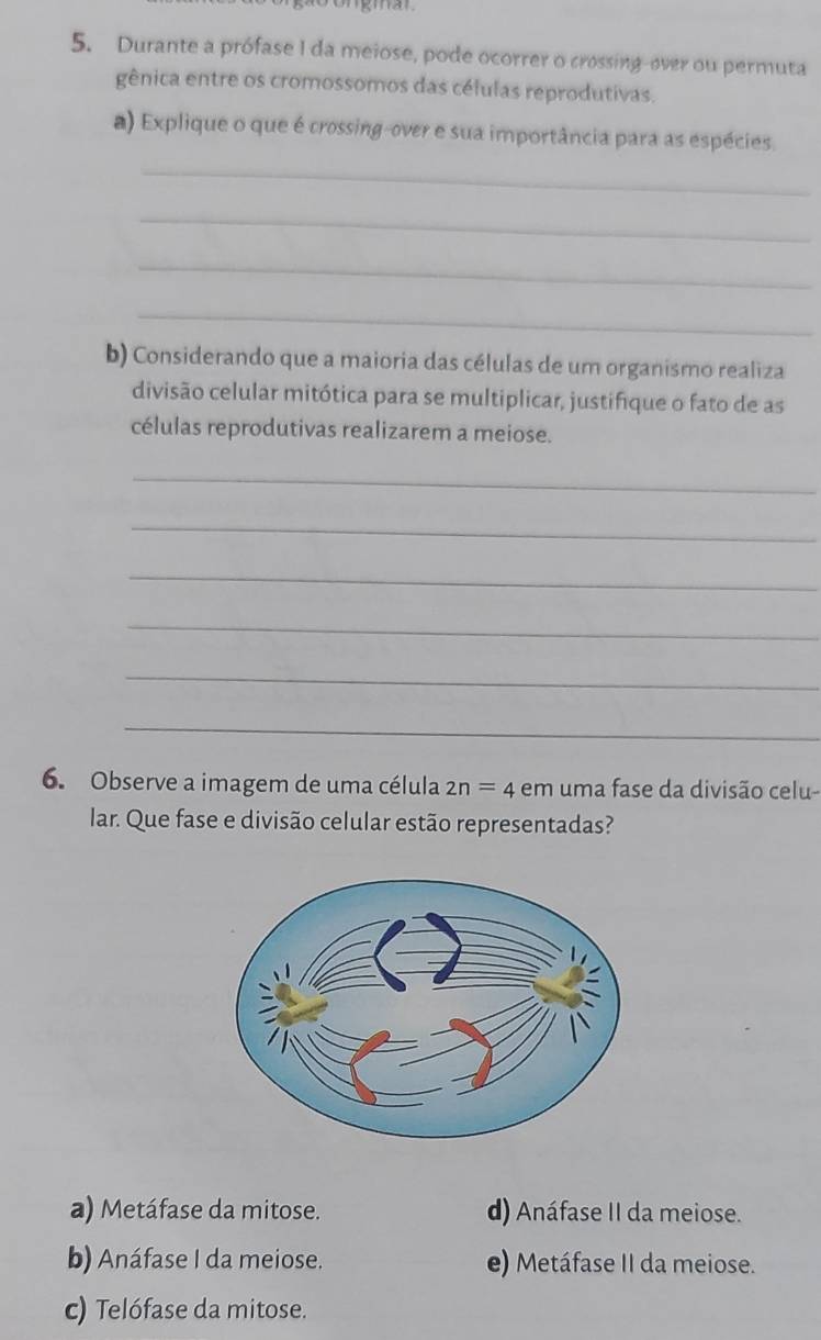 Durante a prófase I da meiose, pode ocorrer o crossing-over ou permuta
gênica entre os cromossomos das células reprodutivas.
a) Explique o que é crossing-over e sua importância para as espécies.
_
_
_
_
b) Considerando que a maioria das células de um organismo realiza
divisão celular mitótica para se multiplicar, justifique o fato de as
células reprodutivas realizarem a meiose.
_
_
_
_
_
_
6. Observe a imagem de uma célula 2n=4 em uma fase da divisão celu-
lar. Que fase e divisão celular estão representadas?
a) Metáfase da mitose. d) Anáfase II da meiose.
b) Anáfase I da meiose. e) Metáfase II da meiose.
c) Telófase da mitose.