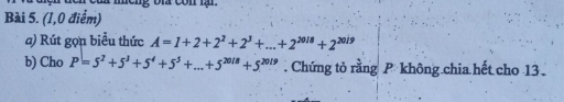 (1,0 điểm) 
a) Rút gọn biểu thức A=1+2+2^2+2^3+...+2^(2018)+2^(2019)
b) Cho P=5^2+5^3+5^4+5^5+...+5^(2018)+5^(2019). Chứng tỏ rằng P không chia hết cho 13.