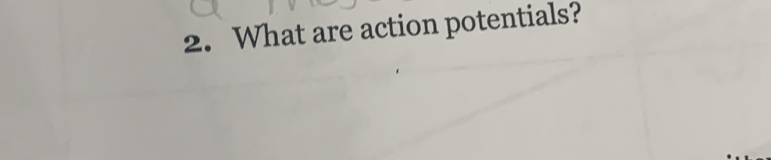 What are action potentials?