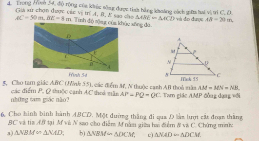 Trong Hình 54, độ rộng của khúc sông được tính bằng khoảng cách giữa hai vị tri C, D. 
Giả sử chọn được các vị trí A, B, E sao cho △ ABE △ ACD và đo được AB=20m,
AC=50m, BE=8m
5. Cho tam giác ABC (Hình 55), các điểm M, N thuộc cạnh AB thoả mãn AM=MN=NB. 
các điểm P, Q thuộc cạnh AC thoả mãn AP=PQ=QC T Tam giác AMP đồng dạng với 
những tam giác nào? 
6. Cho hình bình hành ABCD. Một đường thắng đi qua D lần lượt cắt đoạn thắng
BC và tia AB tại M và N sao cho điểm M nằm giữa hai điểm B và C. Chứng minh: 
a) △ NBM∽ △ NAD b) △ NBM∽ △ DCM; c) △ NAD∽ △ DCM.