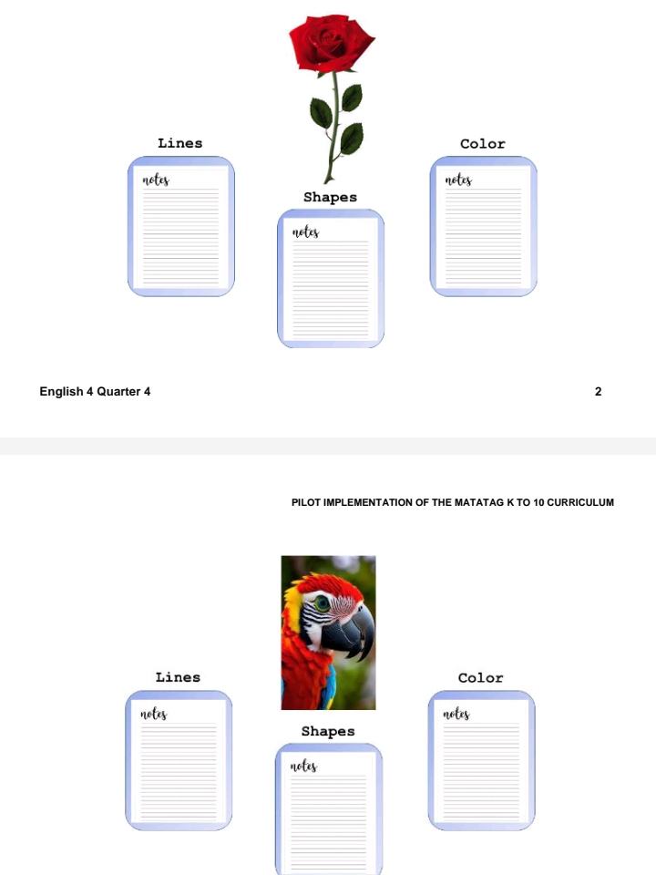 Lines Color 
neters 
netex 
Shapes 
neter 
English 4 Quarter 4 2 
PILOT IMPLEMENTATION OF THE MATATAG K TO 10 CURRICULUM 
LinesColor 
_1efe_3 
wtey 
Shapes 
netes