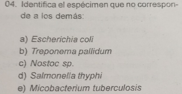 Identifica el espécimen que no correspon-
de a los demás:
a) Escherichia coli
b) Treponema pallidum
c) Nostoc sp.
d) Salmonella thyphi
e) Micobacterium tuberculosis