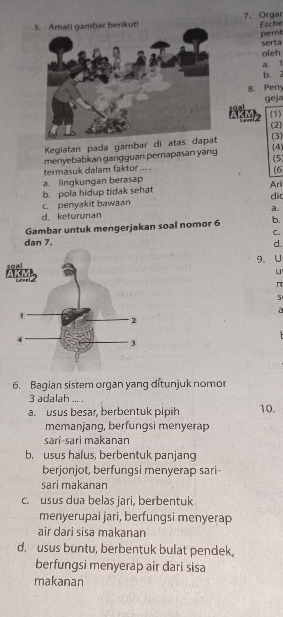 Organ
Esche
pemb
serta
oleh
a. 1
b. 2
8. Peny
geja
soa
6KM2 (1)
(2)
Kegiatan pada gambar di ata
(3)
menyebabkan gangguan pernapasan yang
(4)
(5)
termasuk dalam faktor ... .
(6
a. lingkungan berasap Ari
b. pola hidup tidak sehat
dic
c. penyakit bawaan
d. keturunan a.
Gambar untuk mengerjakan soal nomor 6
b.
C.
dan 7. d.
9. U
u
n
S
a
6. Bagian sistem organ yang ditunjuk nomor
3 adalah ... .
a. usus besar, berbentuk pipih
10.
memanjang, berfungsi menyerap
sari-sari makanan
b. usus halus, berbentuk panjang
berjonjot, berfungsi menyerap sari-
sari makanan
c. usus dua belas jari, berbentuk
menyerupai jari, berfungsi menyerap
air dari sisa makanan
d. usus buntu, berbentuk bulat pendek,
berfungsi menyerap air dari sisa
makanan