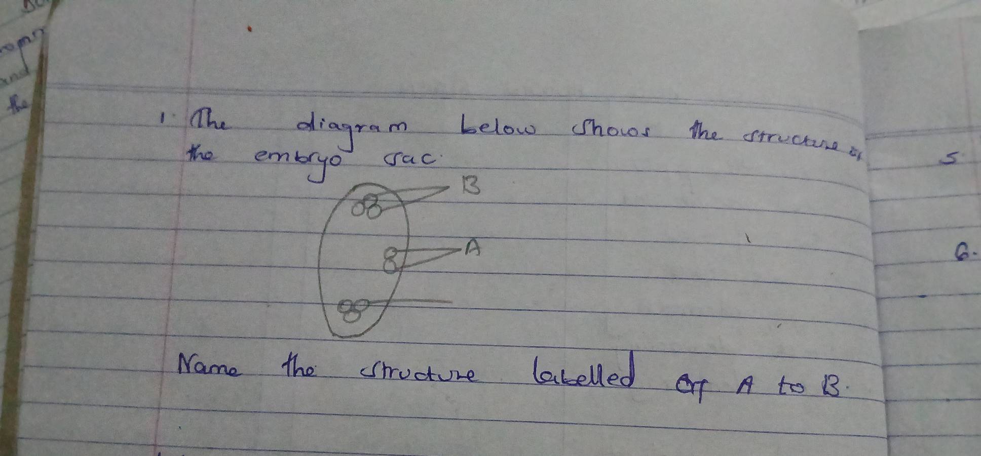 mm! 
and 
f 
1 The diagram below shows the srrectune i 
the em sac 
C. 
Name the sructure labelled T A to 1