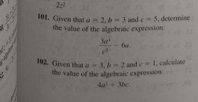 2z^2.: 
101. Given that a=2, b=3 and c=5 , determine 
:” 
the value of the algebraic expression:
 3a^4/c^2 -6a. 
102. Given that a=3, b=2 and c=1 , calculate 
the value of the algebraic expression:
4a^3/ 3bc.