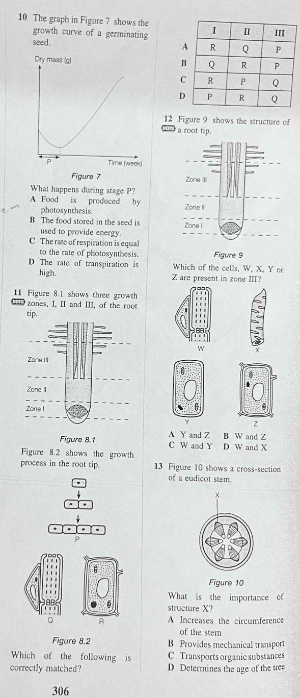 The graph in Figure 7 shows the
growth curve of a germinating
seed.
Dry mass (g)
D
12 Figure 9 shows the structure of
a root tip.
s Time (week)
Figure 7 
What happens during stage P?
A Food is produced by
photosynthesis.
B The food stored in the seed is 
used to provide energy.
C The rate of respiration is equal
to the rate of photosynthesis.
D The rate of transpiration is Which of the cells, W, X, Y or
high. Z are present in zone III?
11 Figure 8.1 shows three growth
zones, I, II and III, of the root
w
θ
0
z
A Y and Z B W and Z
Figure 8.1 C W and Y D W and X
Figure 8.2 shows the growth
process in the root tip. 13 Figure 10 shows a cross-section
of a eudicot stem.
P
θ
Figure 10
What is the importance of
structure X?
Q R
A Increases the circumference
of the stem
Figure 8.2 B Provides mechanical transport
Which of the following is C Transports organic substances
correctly matched? D Determines the age of the tree
306