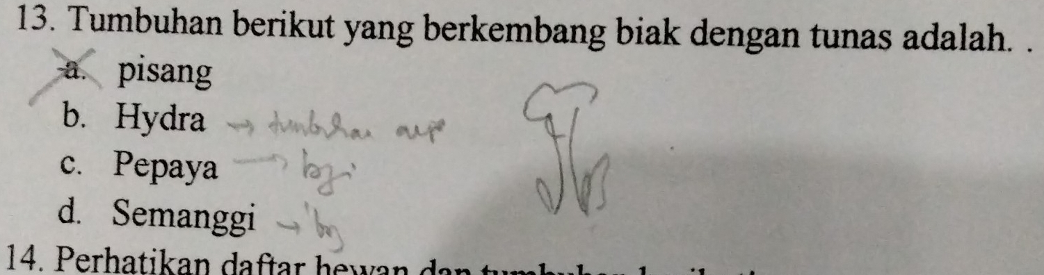 Tumbuhan berikut yang berkembang biak dengan tunas adalah. .
a. pisang
b. Hydra
c. Pepaya
d. Semanggi
14. Perhatikan daftar hewar