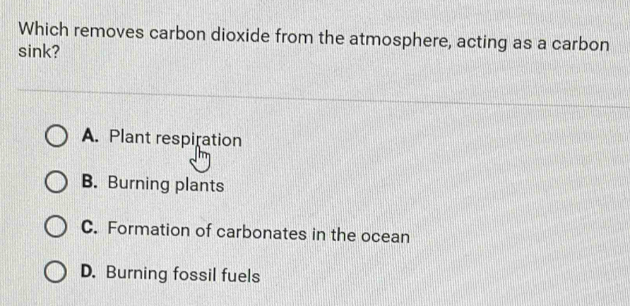 Which removes carbon dioxide from the atmosphere, acting as a carbon
sink?
A. Plant respiration
B. Burning plants
C. Formation of carbonates in the ocean
D. Burning fossil fuels