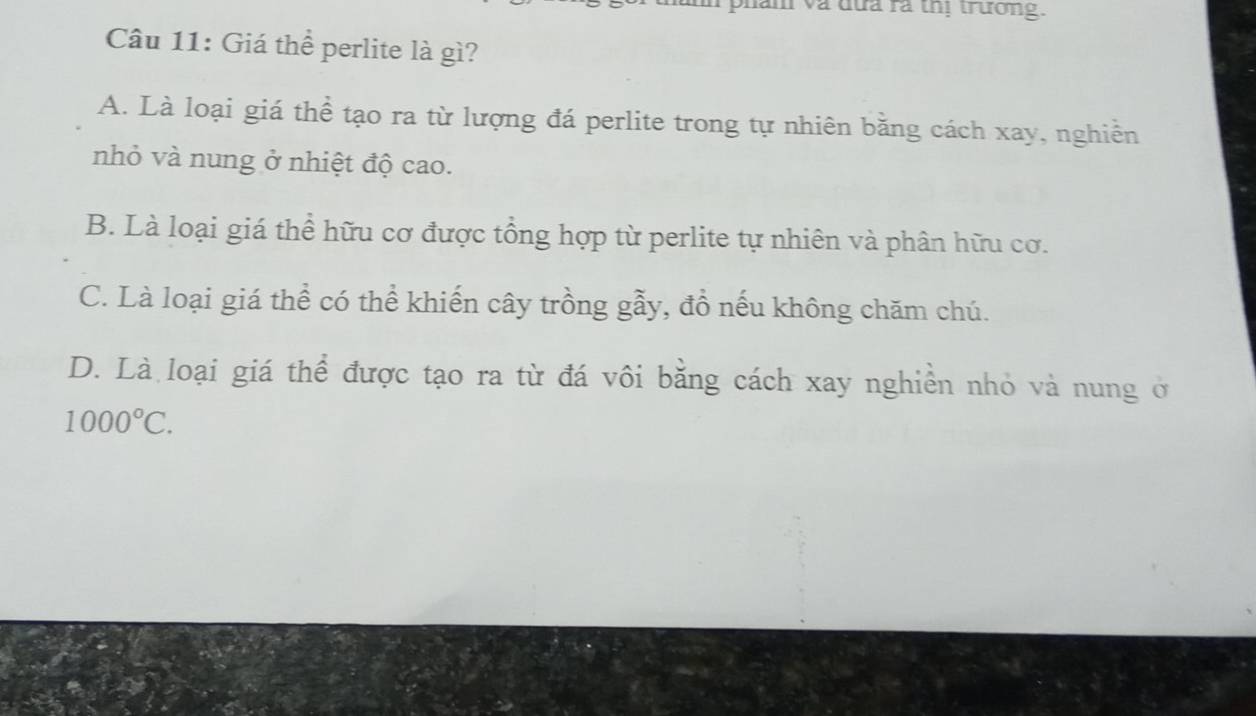 pham và đựa rà thị trường.
Câu 11: Giá thể perlite là gì?
A. Là loại giá thể tạo ra từ lượng đá perlite trong tự nhiên bằng cách xay, nghiễn
nhỏ và nung ở nhiệt độ cao.
B. Là loại giá thể hữu cơ được tổng hợp từ perlite tự nhiên và phân hữu cơ.
C. Là loại giá thể có thể khiến cây trồng gẫy, đồ nếu không chăm chú.
D. Là loại giá thể được tạo ra từ đá vôi băng cách xay nghiễn nhỏ và nung ở
1000°C.