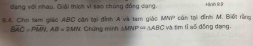 đạng với nhau. Giải thích vì sao chúng đồng dạng. Hình 9.9 
9.4. Cho tam giác ABC cân tại đỉnh A và tam giác MNP cân tại đỉnh M. Biết rằng
widehat BAC=widehat PMN, AB=2MN Chứng minh △ MNP∈fty △ ABC và tìm tỉ số đồng dạng.