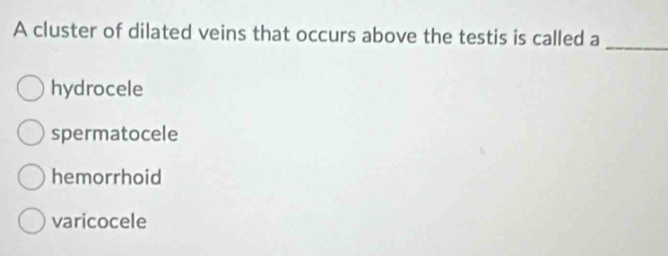 A cluster of dilated veins that occurs above the testis is called a_
hydrocele
spermatocele
hemorrhoid
varicocele