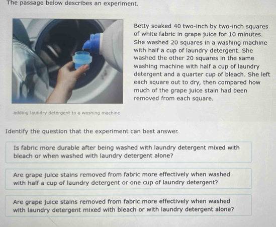 The passage below describes an experiment. 
Betty soaked 40 two-inch by two-inch squares 
of white fabric in grape juice for 10 minutes. 
She washed 20 squares in a washing machine 
with half a cup of laundry detergent. She 
washed the other 20 squares in the same 
washing machine with half a cup of laundry 
detergent and a quarter cup of bleach. She left 
each square out to dry, then compared how 
much of the grape juice stain had been 
removed from each square. 
adding laundry detergent to a washing machine 
Identify the question that the experiment can best answer. 
Is fabric more durable after being washed with laundry detergent mixed with 
bleach or when washed with laundry detergent alone? 
Are grape juice stains removed from fabric more effectively when washed 
with half a cup of laundry detergent or one cup of laundry detergent? 
Are grape juice stains removed from fabric more effectively when washed 
with laundry detergent mixed with bleach or with laundry detergent alone?