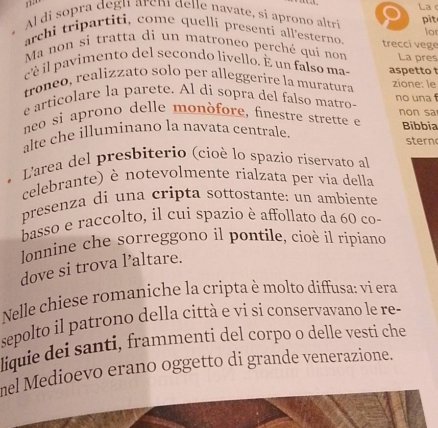 La 
.Al di sopra degn arch delle navate, si aprono altri 
pit 
lor 
archi tripartiti, come quelli presenti all'esterno. trecci vege 
Ma non si tratta di un matroneo perché qui non 
La pres 
cè i l pavimento del secondo livello. È un falso ma- aspetto 
troneo, realizzato solo per alleggerire la muratura zione: le 
e articolare la parete. Al di sopra del falso matro- no una 
neo si aprono delle monòfore, finestre strette e non sa 
alte che illuminano la navata centrale. 
Bibbia 
stern 
L'area del presbiterio (cioè lo spazio riservato al 
celebrante) è notevolmente rialzata per via della 
presenza di una cripta sottostante: un ambiente 
basso e raccolto, il cui spazio è affollato da 60 co- 
lonnine che sorreggono il pontile, cioè il ripiano 
dove si trova l’altare. 
Nelle chiese romaniche la cripta è molto diffusa: vi era 
sepolto il patrono della città e vi si conservavano le re- 
liquie dei santi, frammenti del corpo o delle vesti che 
mel Medioevo erano oggetto di grande venerazione.