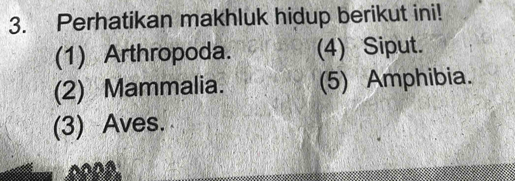 Perhatikan makhluk hidup berikut ini!
(1) Arthropoda. (4) Siput.
(2) Mammalia. (5) Amphibia.
(3) Aves.