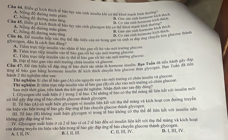 Điều gì kích thích tể bào tụy sản sinh insulin khi cơ thể khoệ mạnh bình thường2
A. Nồng độ đường máu giảm.
C. Nồng độ đường máu tăng.
B. Gan sản sinh hormone kích thích.
D. Cơ sản sinh hormone kích thích.
Câu 45, Điều gì kích thích tế bảo tụy sản sinh glucagon khi cơ thể khoê mạnh bình thường?
A. Nồng độ đường máu giảm.
B. Gan sản sinh hormone kích thích.
C. Nồng độ đường máu tăng. D. Cơ sản sinh hormone kích thích.
Câu 46. Để insulin tiếp xúc thụ thể đặc hiệu của nó trong gan và sinh ra đáp ứng chuyển hóa glucose thành
glycogen, đâu là cách làm đúng?
A. Tiêm trực tiếp insulin vào nhân tế bào gan rồi bỏ vào môi trường glucose.
B. Tiêm trực tiếp insulin vào tế bảo gan rồi bỏ vào môi trường glucose.
C. Tiêm trực tiếp insulin vào ty thể tế bào gan rôi bộ vào môi trường glucose.
D. Đặt tế bảo gan vào môi trường chứa insulin và glucose.
Câu 47. Để tìm hiểu về đáp ứng tế bào dưới tác nhân là hormone insulin. Bạn Tuấn đã tiến hành gây đáp
ứng tế bào gan bằng hormone insulin để kích thích chuyển hóa glucose thàn glycogen. Bạn Tuấn đã tiền
hành 2 thí nghiệm như sau:
Thí nghiệm 1: cho tế bào gan (A) còn nguyên vẹn vào môi trường có chứa insulin và glucose.
Thí nghiệm 2: tiềm trực tiếp insulin vào tế bảo gan (B) rồi cho vào môi trường có chứa glucose.
Sau một thời gian, tiến hành thu kết quả thí nghiệm. Nhận định nào sau đây đúng?
I. Glycogen chỉ xuất hiện ở 1 trong 2 tế bào. Chi những tế bào có thụ thể màng để liên kết với insulin mới
có thể gây đáp ứng tế bào chuyển glucose thành glycogen.
II. Tế bảo (A) có xuất hiện glycogen vì insulin liên kết với thụ thể màng và kích hoạt con đường truyền
tín hiệu vào bên trong tế bào gây đáp ứng tế bào chuyển glucose thành glycogen.
III. Tế bào (B) không xuất hiện glycogen vì trong tế bào không có thụ thể để liên kết với insulin nên
không gây đáp ứng tế bào.
IV. Glycogen xuất hiện ở cả 2 tế bào vì cả 2 tế bào đều có insulin liên kết với thụ thể màng và kích hoạt
con đường truyền tín hiệu vào bên trong tế bào gây đáp ứng tế bào chuyển glucose thành glycogen.
A. I, II, IV. B. I, II, III. C. II, III, IV. D. l, III, IV.