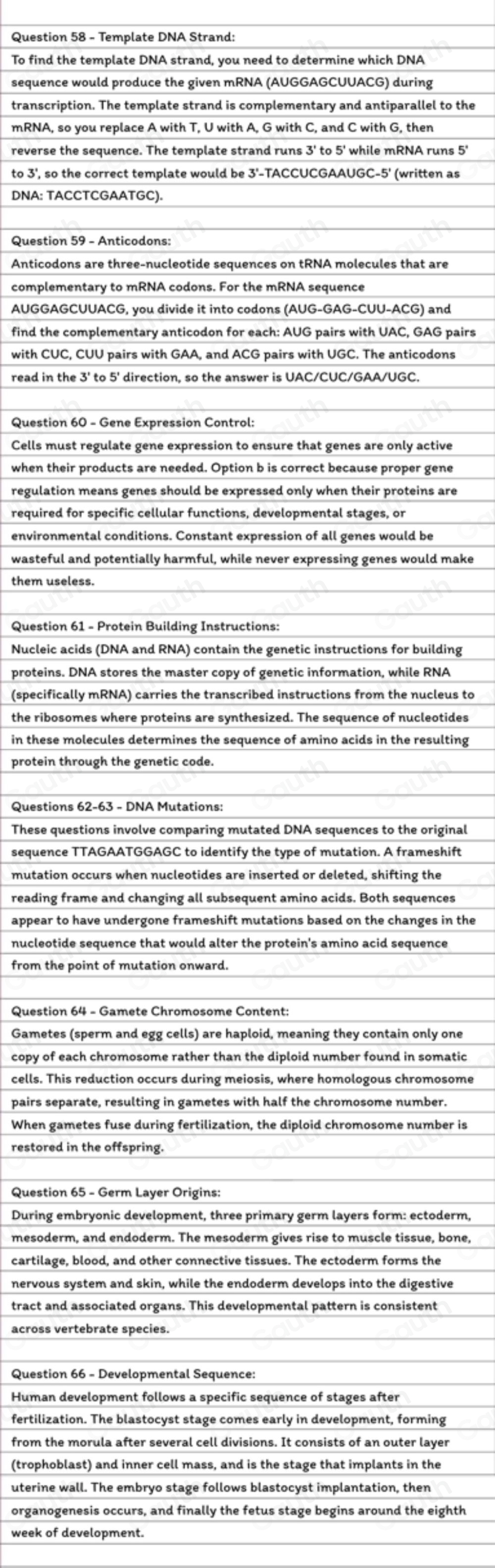 Solved: Which of the following would represent the template strand of ...