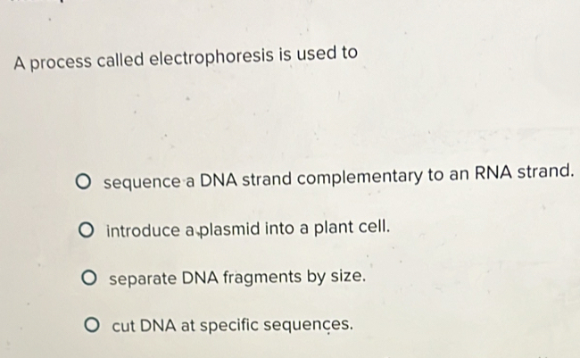 A process called electrophoresis is used to
sequence a DNA strand complementary to an RNA strand.
introduce a plasmid into a plant cell.
separate DNA fragments by size.
cut DNA at specific sequençes.