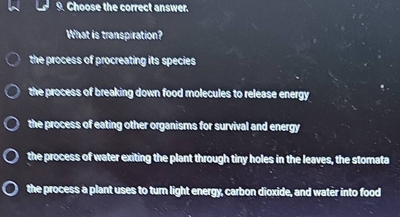 Choose the correct answer.
What is transpiration?
the process of procreating its species
the process of breaking down food molecules to release energy .
the process of eating other organisms for survival and energy
the process of water exiting the plant through tiny holes in the leaves, the stomata
the process a plant uses to turn light energy, carbon dioxide, and water into food