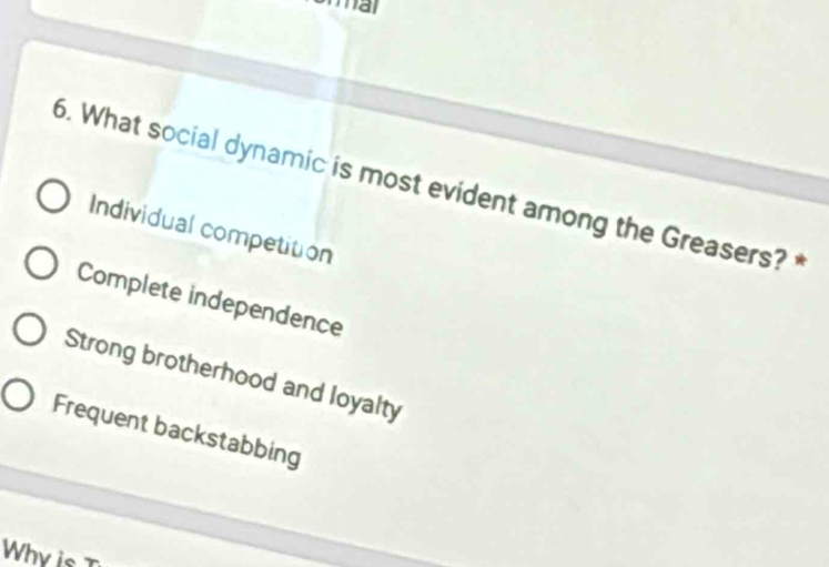 a
6. What social dynamic is most evident among the Greasers? *
Individual competition
Complete independence
Strong brotherhood and loyalty
Frequent backstabbing
Why is T