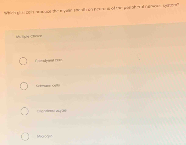 Solved: Which glial cells produce the myelin sheath on neurons of the ...