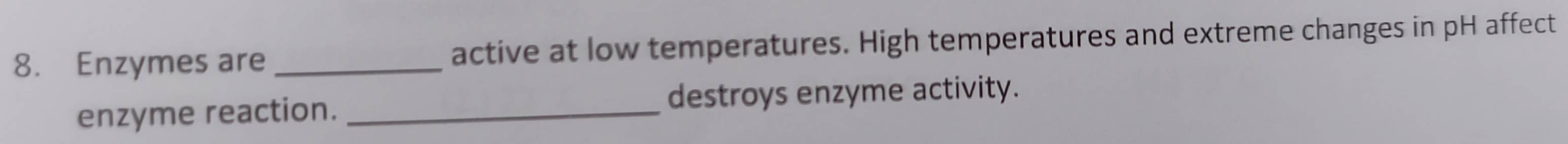 Enzymes are _active at low temperatures. High temperatures and extreme changes in pH affect 
enzyme reaction. _destroys enzyme activity.