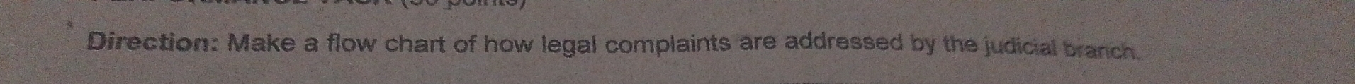 Direction: Make a flow chart of how legal complaints are addressed by the judicial branch.