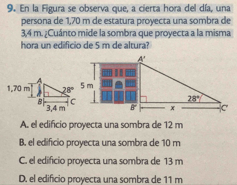 En la Figura se observa que, a cierta hora del día, una
persona de 1,70 m de estatura proyecta una sombra de
3,4 m. ¿Cuánto mide la sombra que proyecta a la misma
hora un edificio de 5 m de altura?
5 m

A. el edificio proyecta una sombra de 12 m
B. el edificio proyecta una sombra de 10 m
C. el edificio proyecta una sombra de 13 m
D. el edificio proyecta una sombra de 11 m